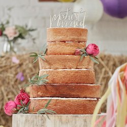 cake-topper-holz-just-married